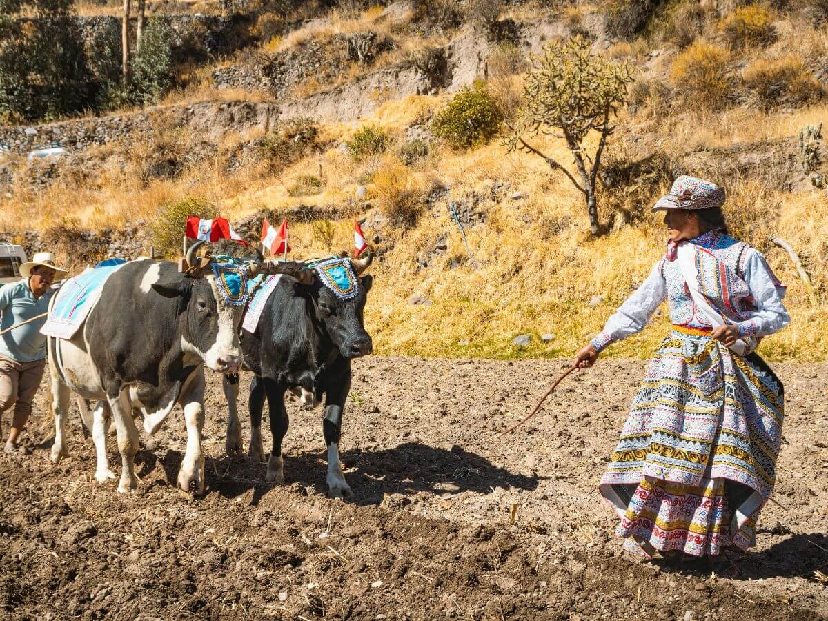 patrimonio cultural del Perú
